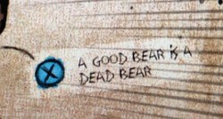 A good bear is a dead bear